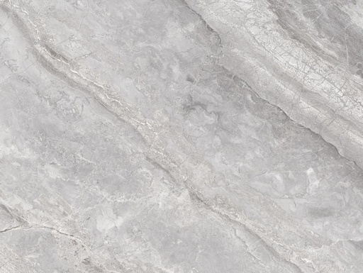 Supreme - Silver porcelain tile colour