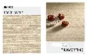 TRAVERTINE_Page_5.webp