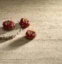 TRAVERTINE_Page_5_Image_0001.webp