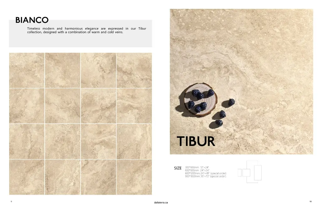 TIBUR Original_Page_6_Image_0001_Page_5.webp