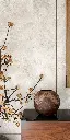 TIBUR Original_Page_3_Image_0001.webp