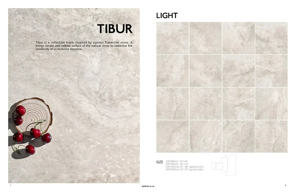 TIBUR Original_Page_6_Image_0001_Page_2.webp